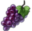 Grapes plan icon